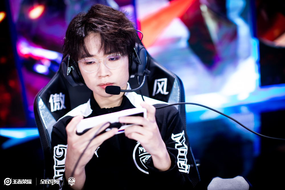 的功能性升 的功能性升